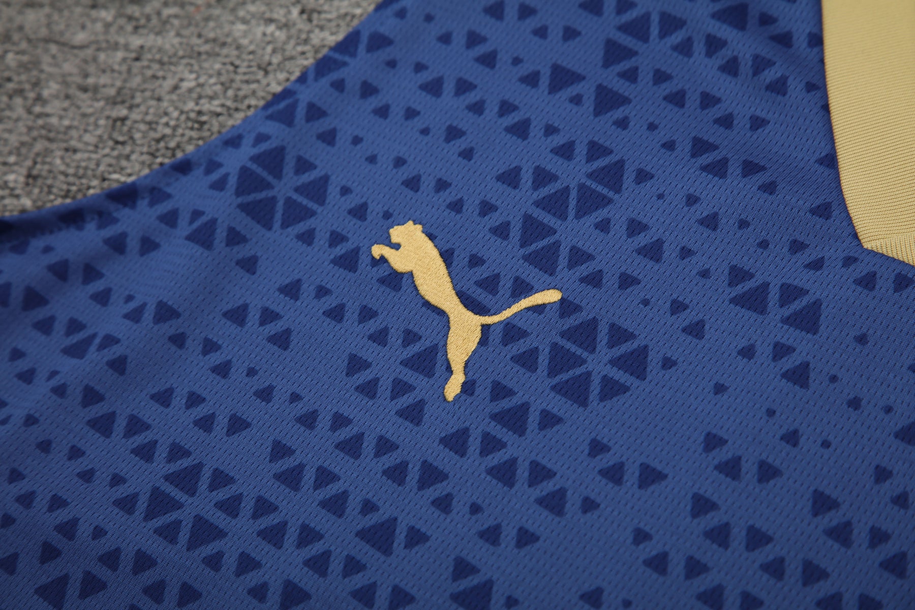 Palmeiras 24/25 – Colete Treino Versão Torcedor