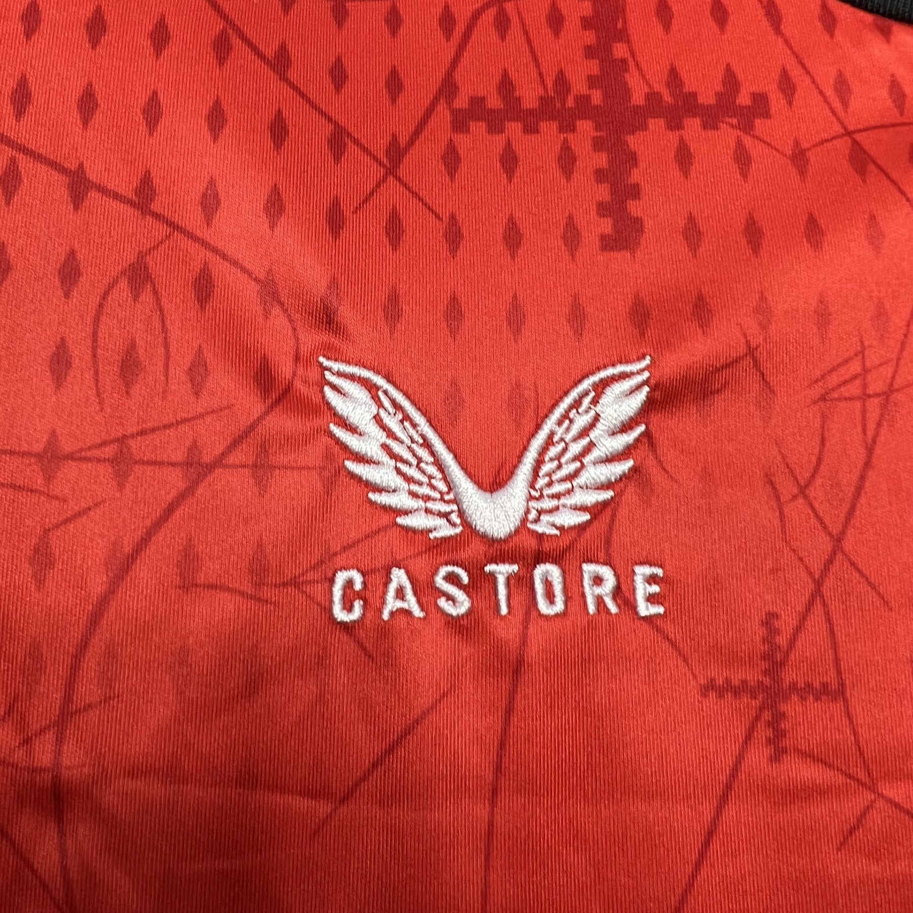 Camisa Bayer 04 Leverkusen 24/25 – Versão Torcedor Castore Masculina