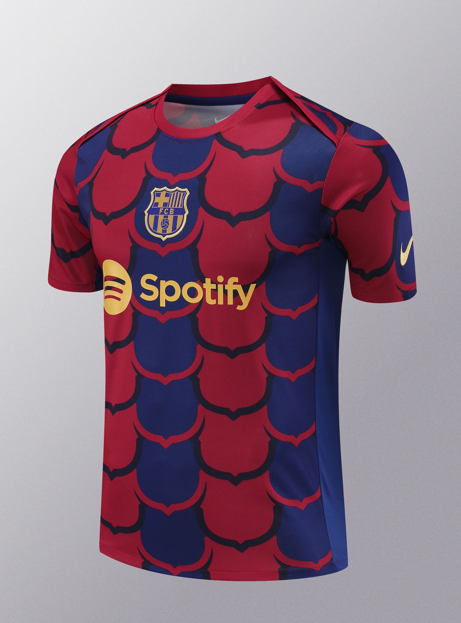 Conjunto de Treino Barcelona 24/25