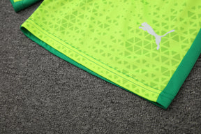 Conjunto de Treino Palmeiras 2024/25 – Torcedor Masculino