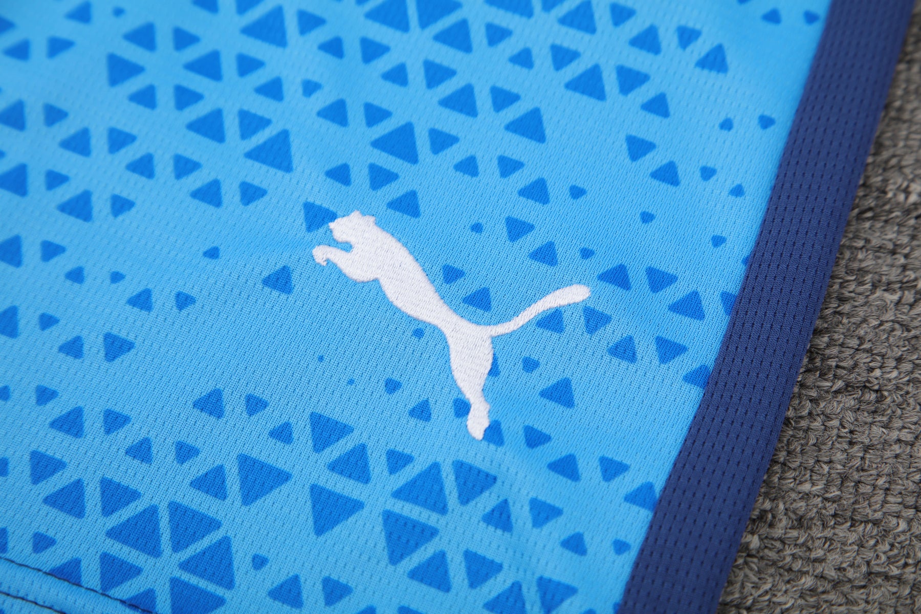 Palmeiras 24/25 – Colete Treino Versão Torcedor