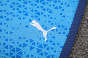 Palmeiras 24/25 – Colete Treino Versão Torcedor