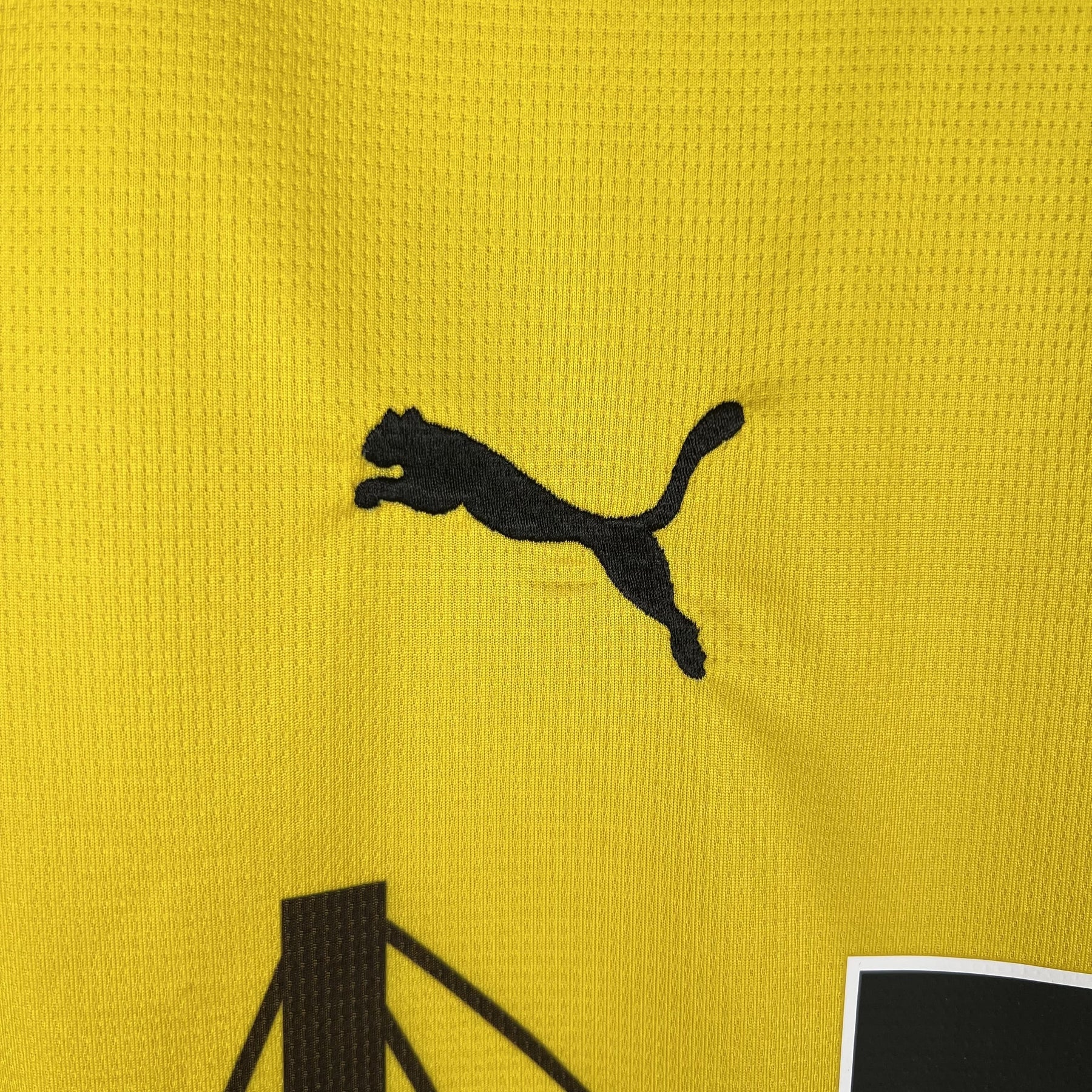 Camisa Borussia Dortmund 23/24 – Home Torcedor Puma