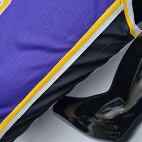 Camisa NBA Lakers #23 Jordan Purple 75° Aniversário- 23/24