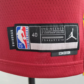 Camisa NBA Miami Heat #14 Herro  - 75° Aniversário Red