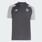 Camisa Atlético Mineiro Treino 24/25 Adidas Masculina Torcedor