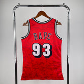Regata Miami Heat Mitchell & Ness BAPE Edition 1993