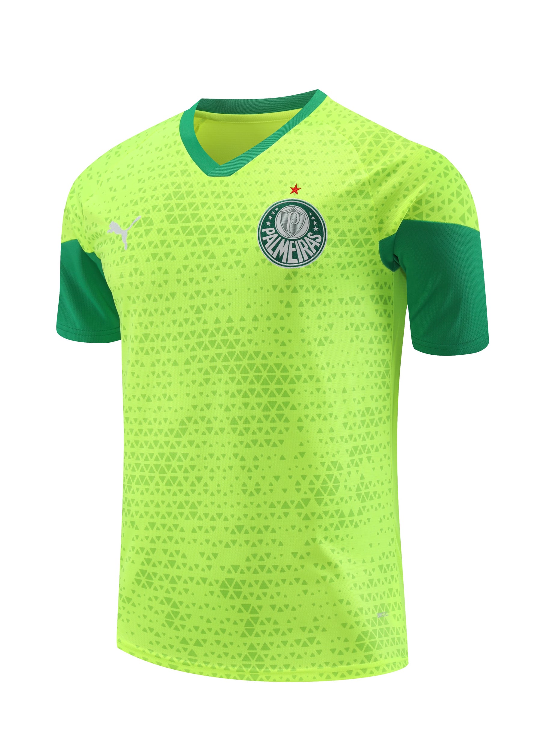 Conjunto de Treino Palmeiras 2024/25 – Torcedor Masculino